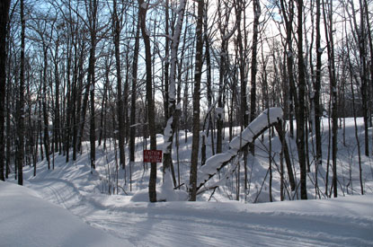 A picture of the trail with the Chassell Cemetery in the background