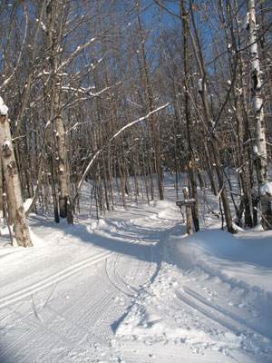 Start of Chassell Classic Trail